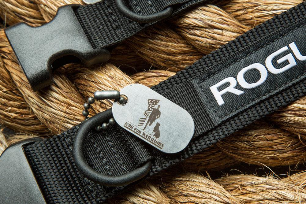 Warriors dog collar top